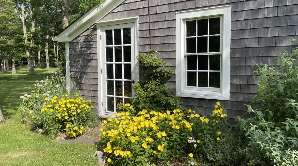 Additional Image 10