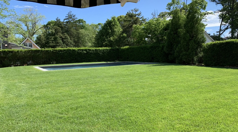 Additional Image 9