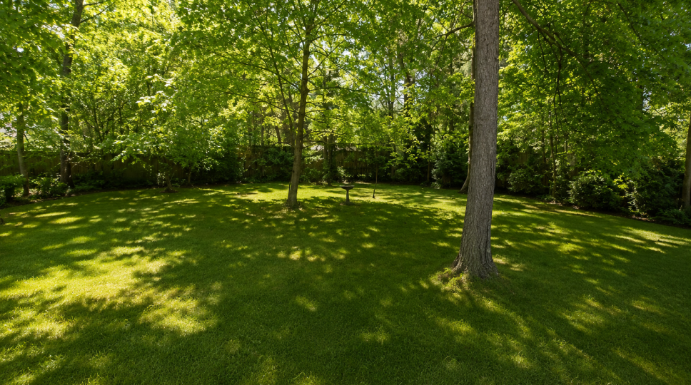 Additional Image 10